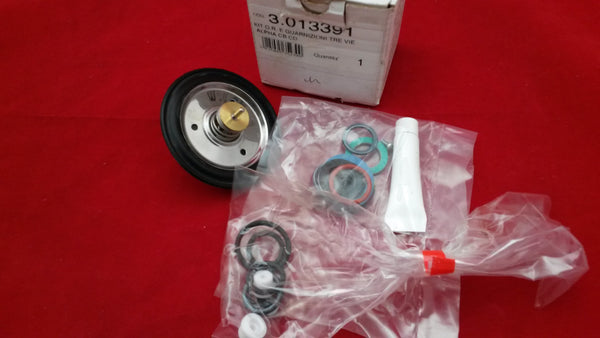 ALPHA 3.013391 SEAL KIT- DIVERTER/FLOW VALVE