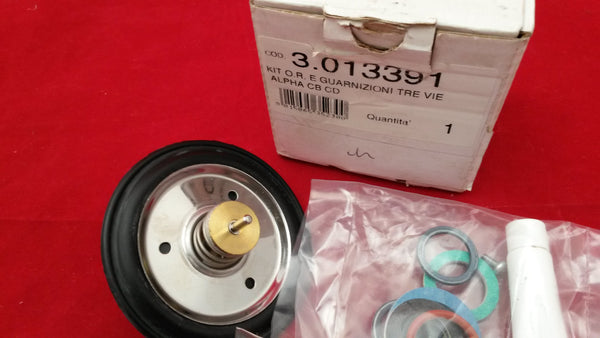 ALPHA 3.013391 SEAL KIT- DIVERTER/FLOW VALVE